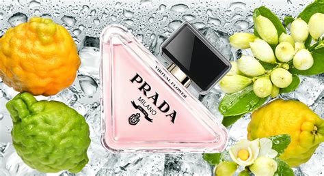 prada flower perfume|prada virtual flower perfume.